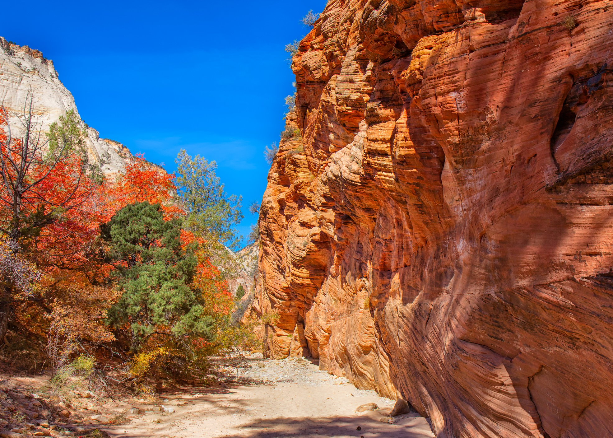 Zion Excursion